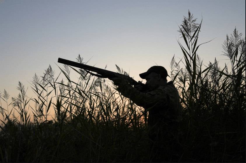 O&lsquo;zbekiston hududida 2025-yil 1-sentyabrdan 2028-yil 1-yanvargacha ov qilishga moratoriy joriy qilinishi mumkin